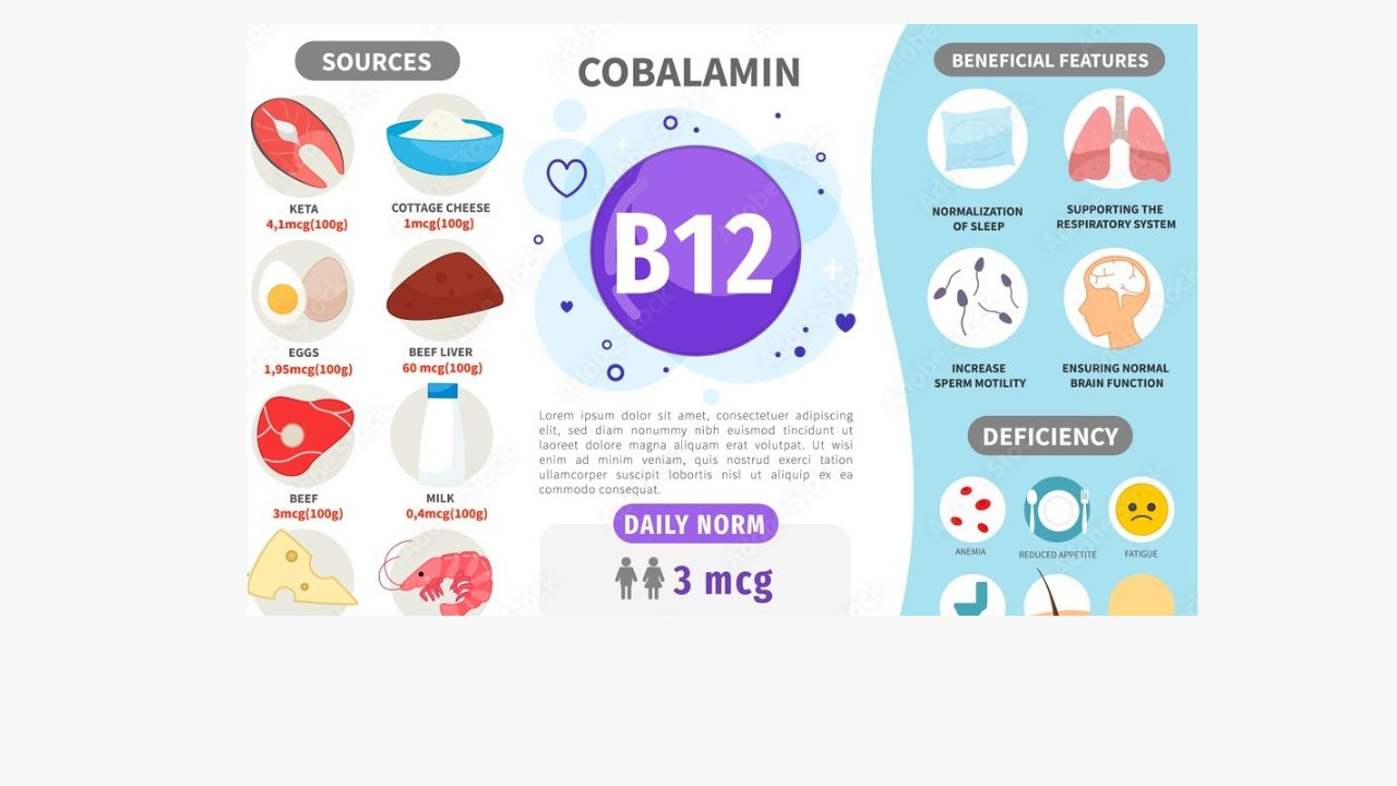 Vitamin B12 (Cobalamin) - Benefits, Diet, Daily Intake, Deficiency