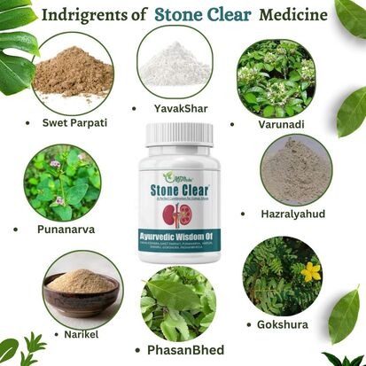 Stone_Clear_kidney-stone-disease-treatment.jpg